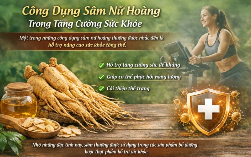 Công Dụng Sâm Nữ Hoàng Trong Tăng Cường Sức Khỏe