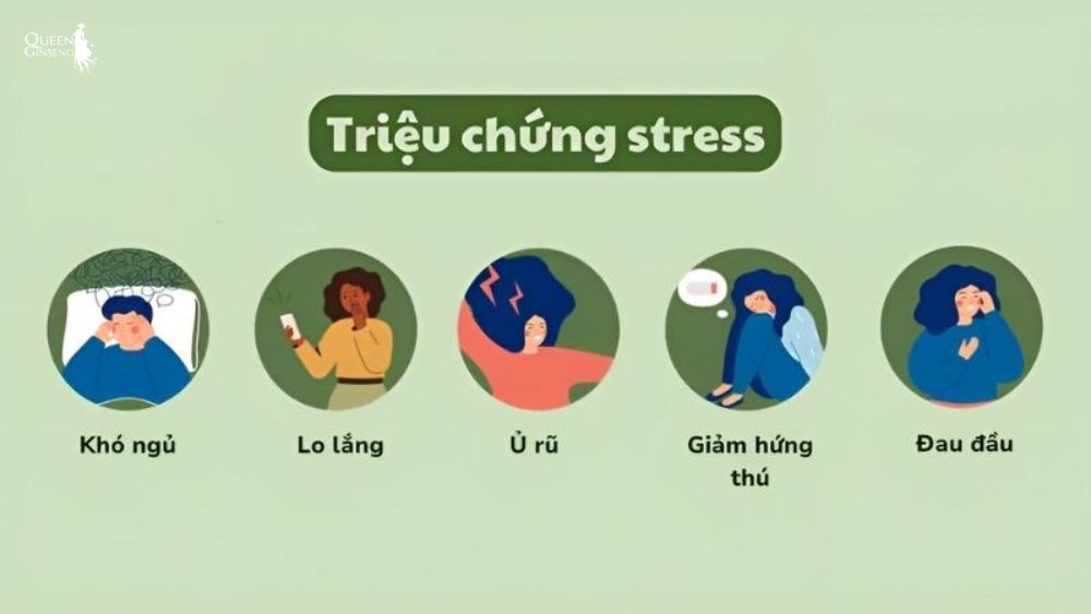 Dấu hiệu stress đang gây rối loạn hormone
