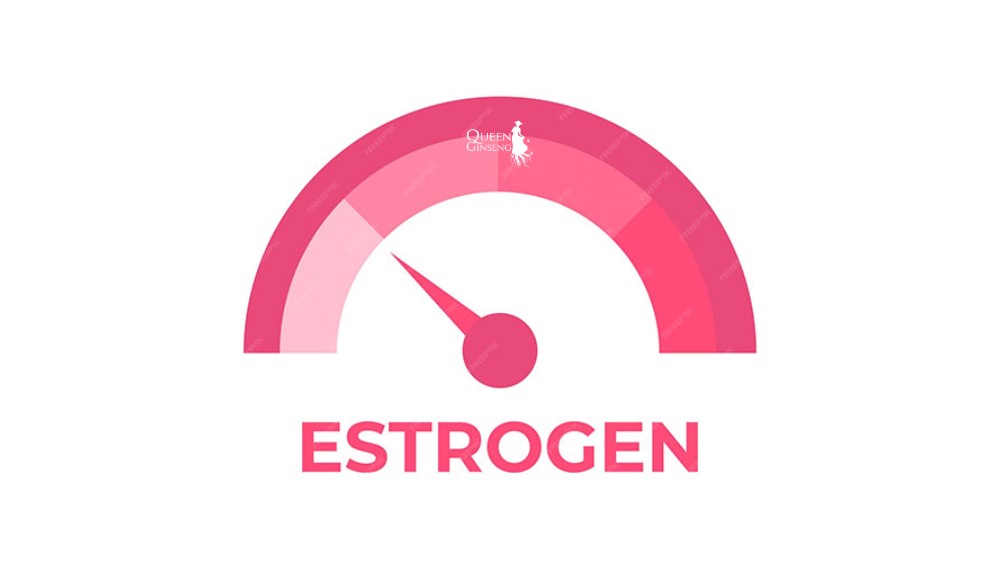 Estrogen là gì - tác dụng ra sao