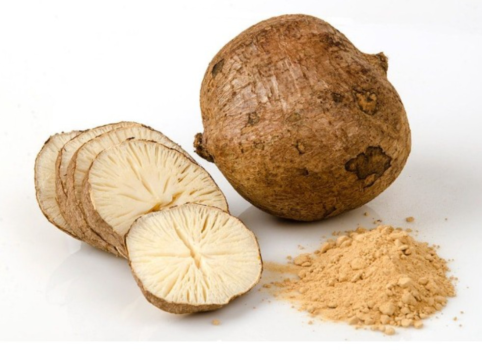 Sâm Tố Nữ là gì