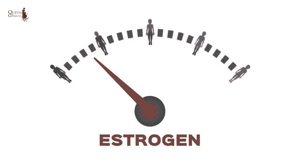 Thiếu estrogen gây ra những vấn đề gì