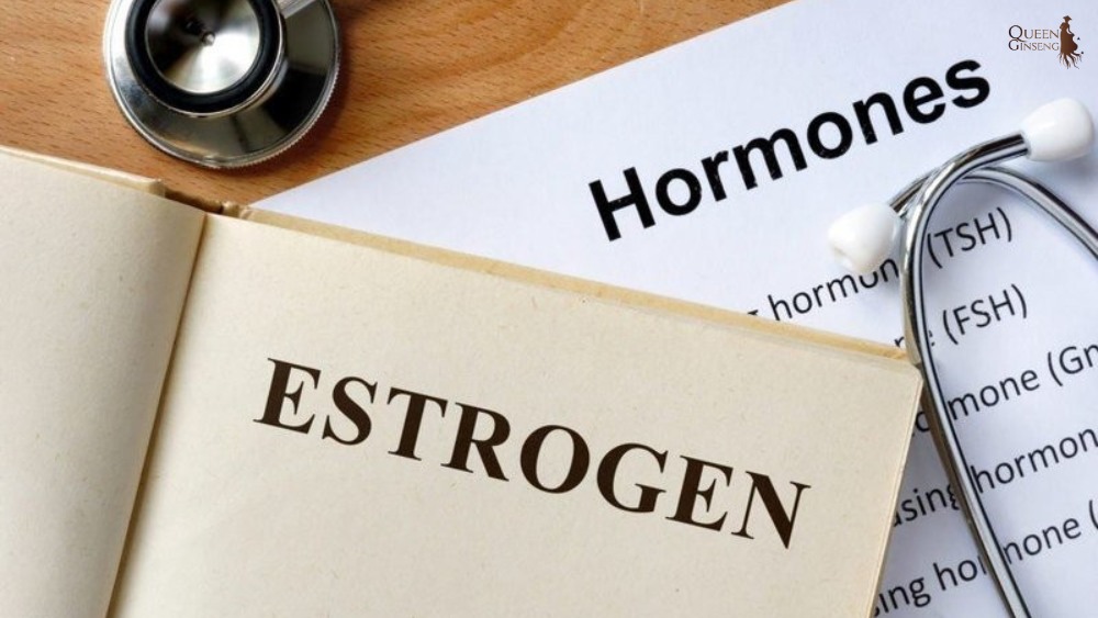 Vai trò của estrogen đối với sức khỏe phụ nữ