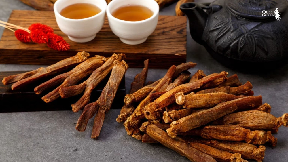 Vì sao gọi là “Hồng Sâm” Ý nghĩa màu sắc và giá trị sinh học