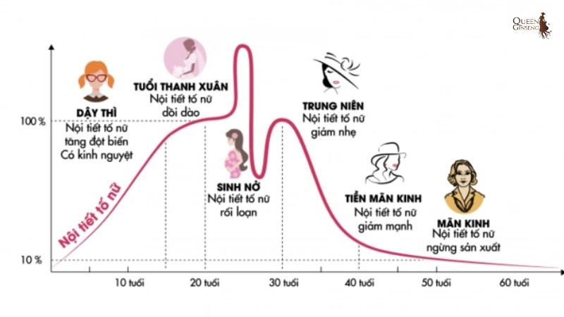 Nội tiết tố (hormone) là gì?
