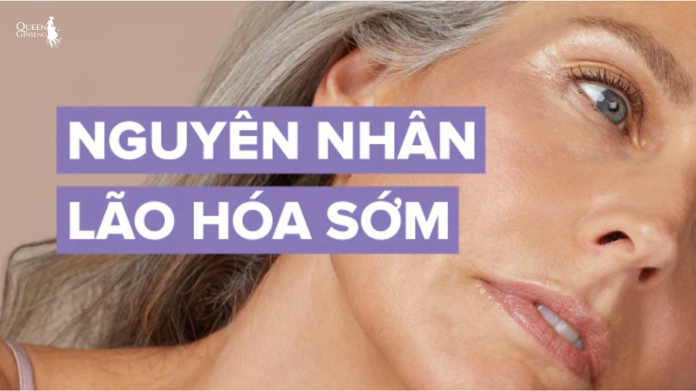 Vì sao thiếu nội tiết làm da nám – sạm – lão hóa nhanh